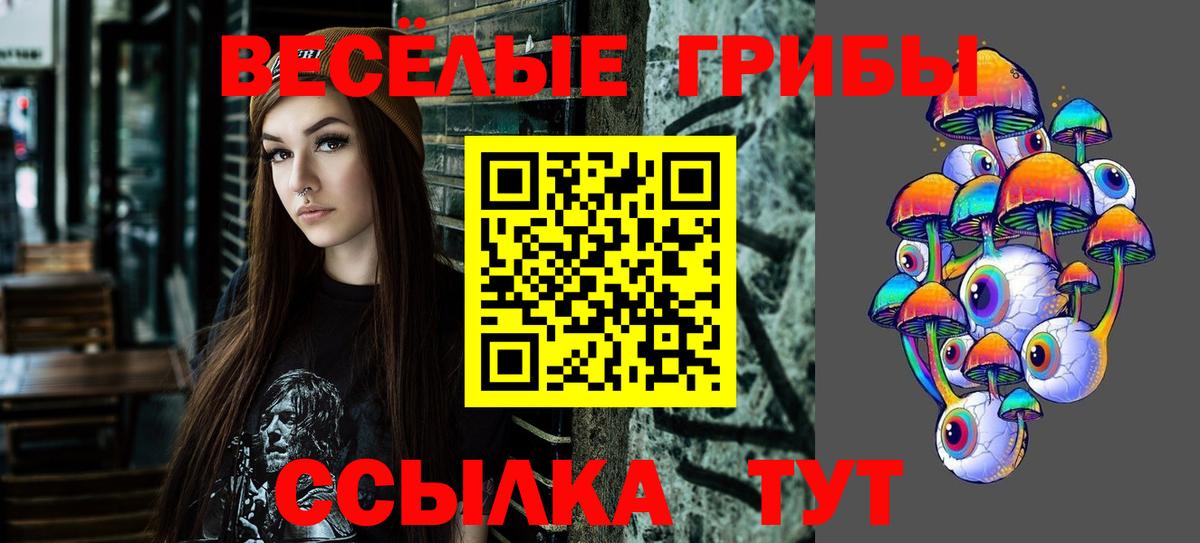 Псилоцибиновые грибы Cubensis  Вход с VPN  Екатеринбург 